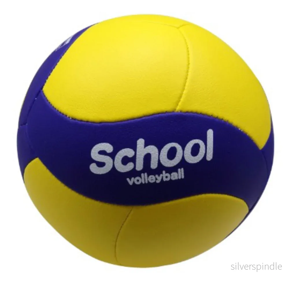 Volleyboll Skola