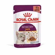 RC Sensory Taste Gravy 85g