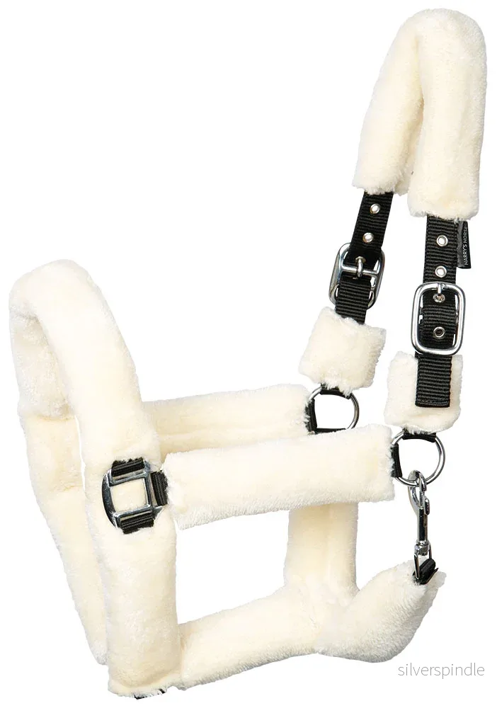 Halster Teddy Halster Teddy