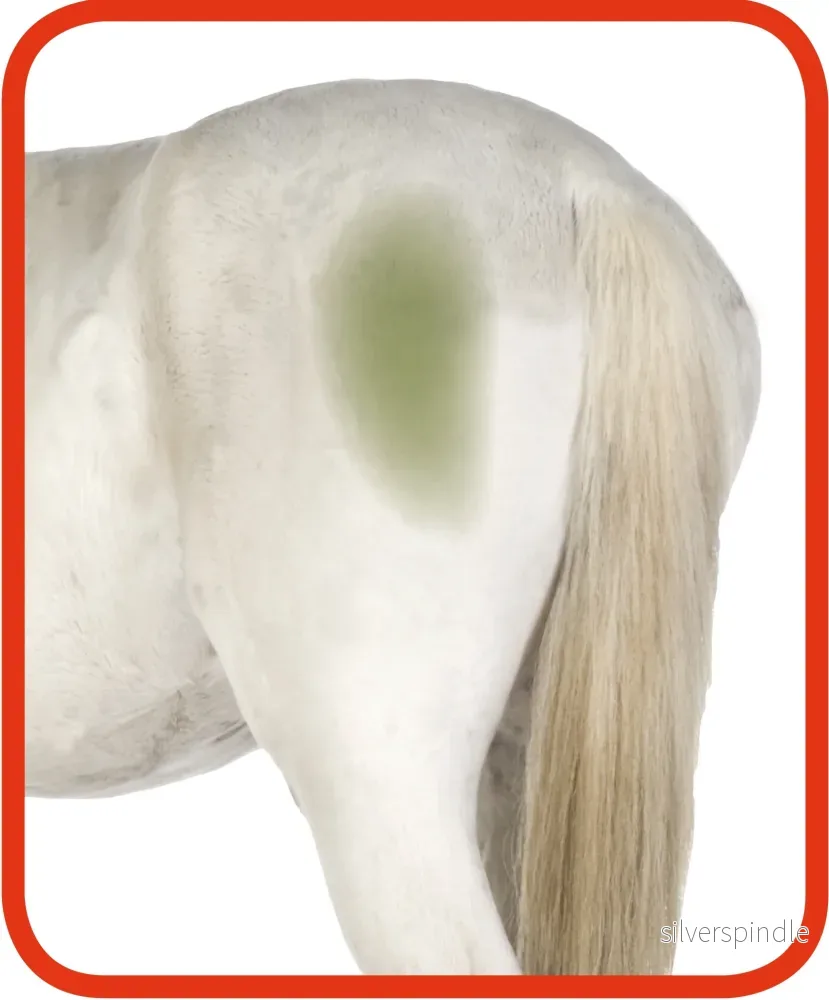 Excellent Horse Hi Gloss Rengöringsspray 500 ml - Bild 3