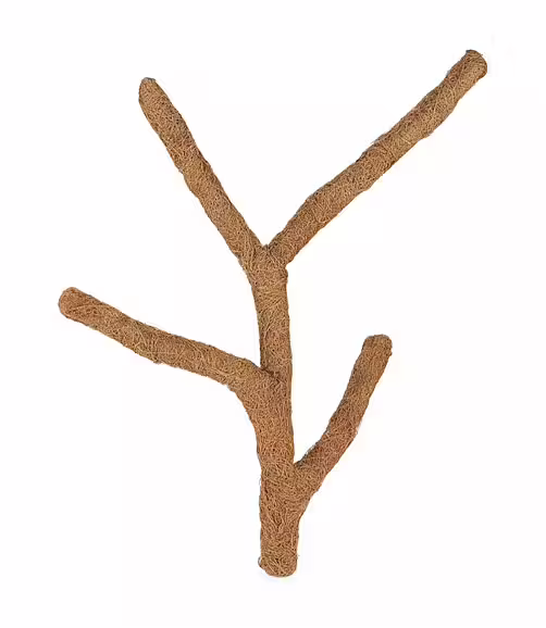 Coconut Branch Troncho 80cm – L Coconut Branch Troncho 80cm – L