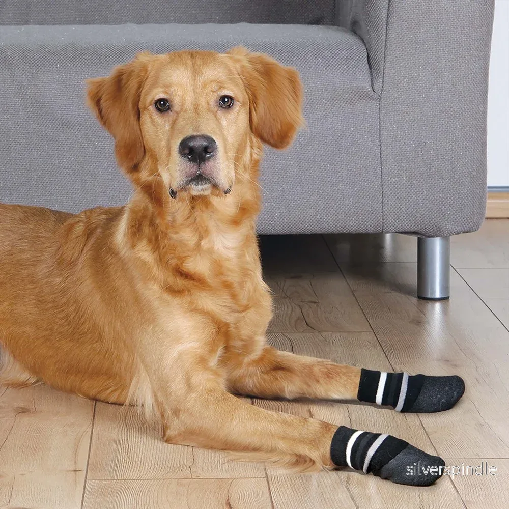 Hundsockar gummerad 2-pack svart - Bild 2