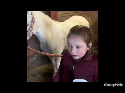 Lucky Horse Unicorn Shine Spray - Bild 2