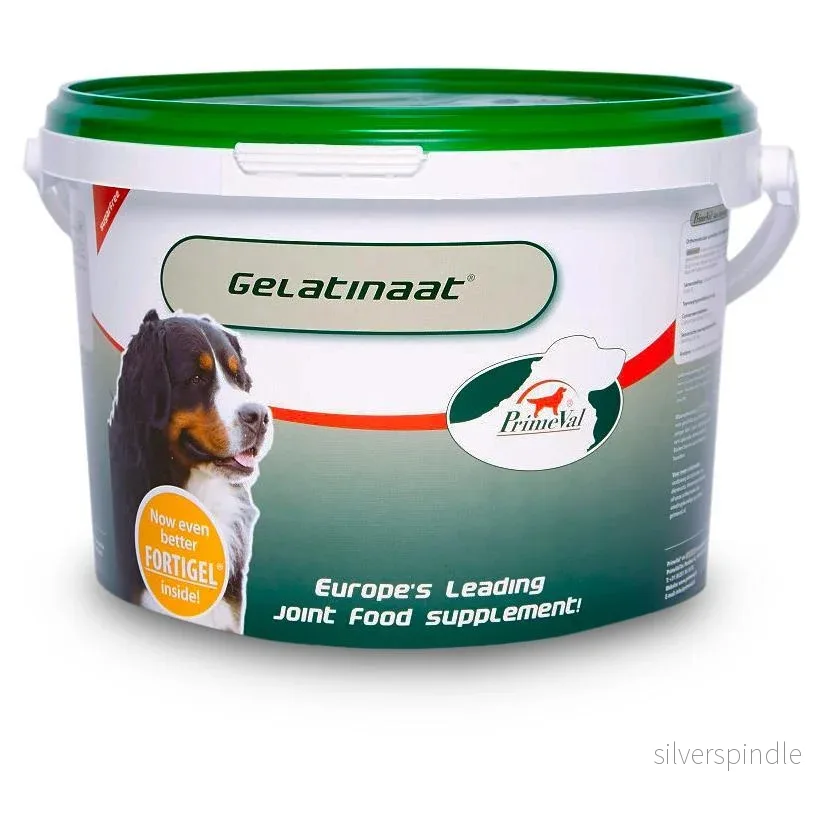 Gelatinat Hund – PrimeVal
