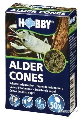Alder Cones alkotte 50-pack - Bild 2