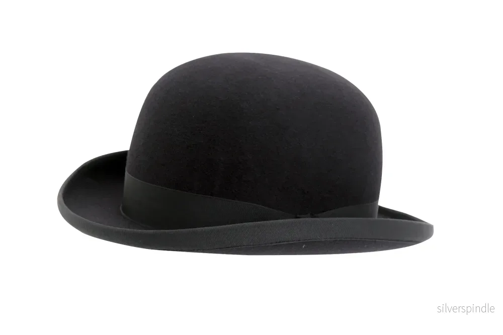 Hatt i hårfilt Hatt i hårfilt