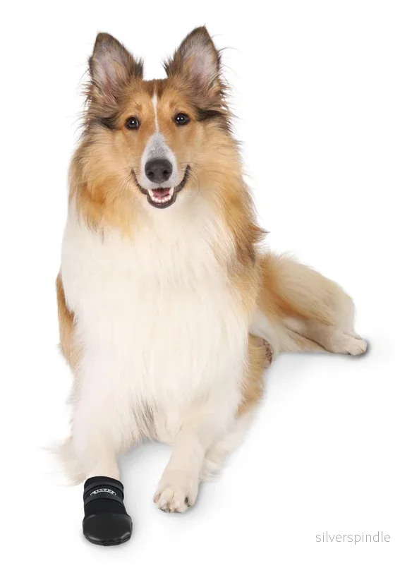 Hundskor Walker Care 2-pack, L, svart - Bild 2