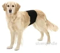 KISSKYDD HANHUND 40x10CM SVART