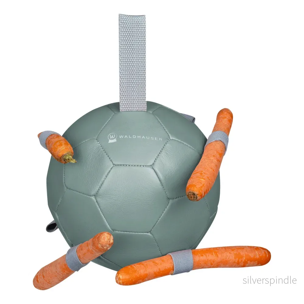Waldhausen morotsboll