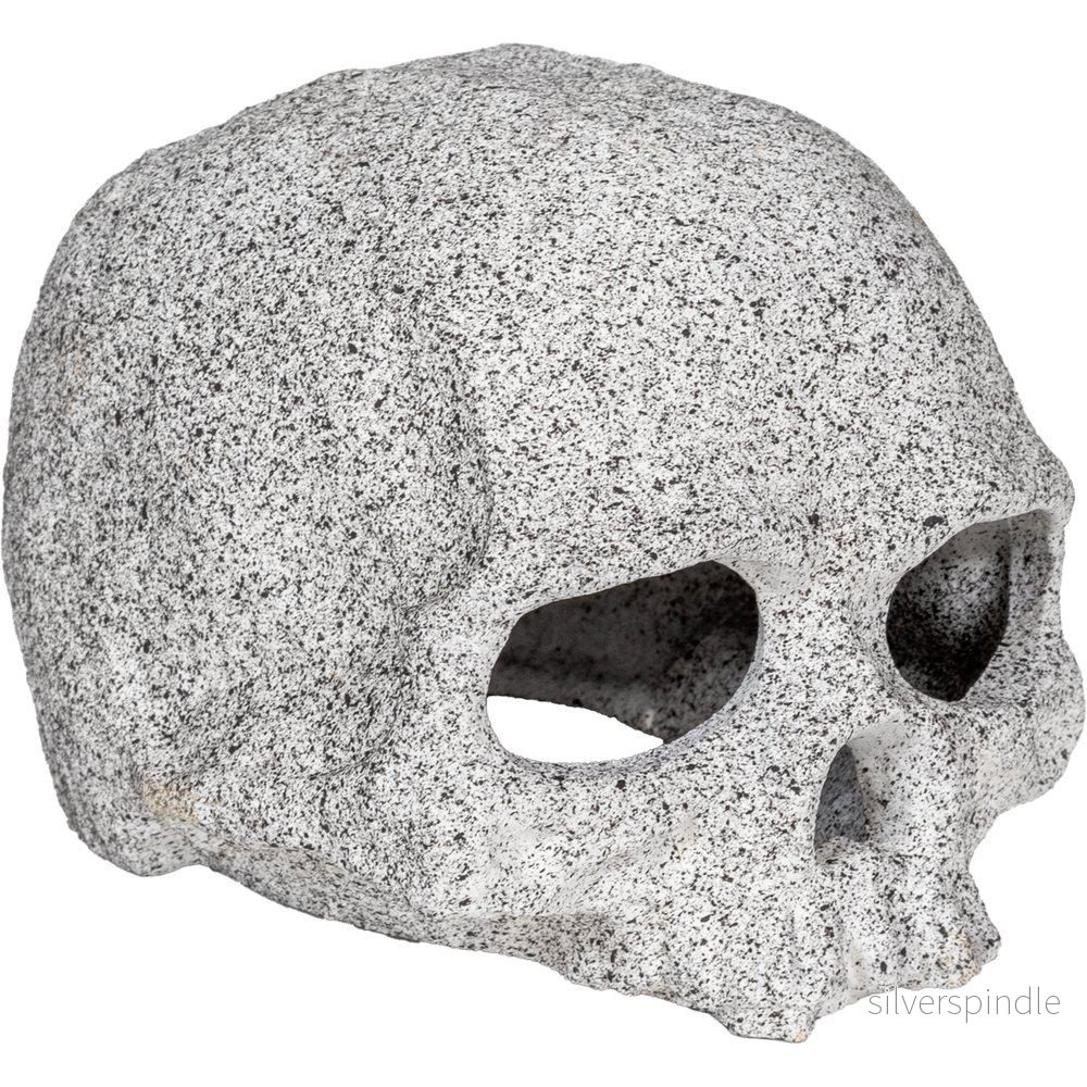Ozami Cranium 12x10x8cm
