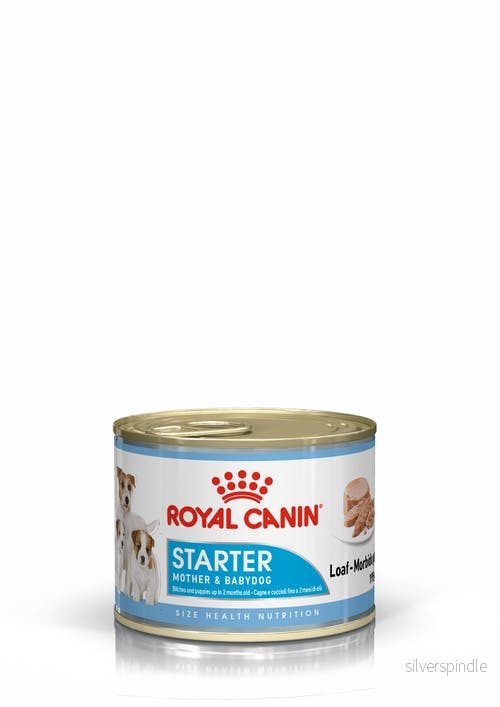 RC Starter Mousse Mother & Babydog 195g RC Starter Mousse Mother & Babydog 195g