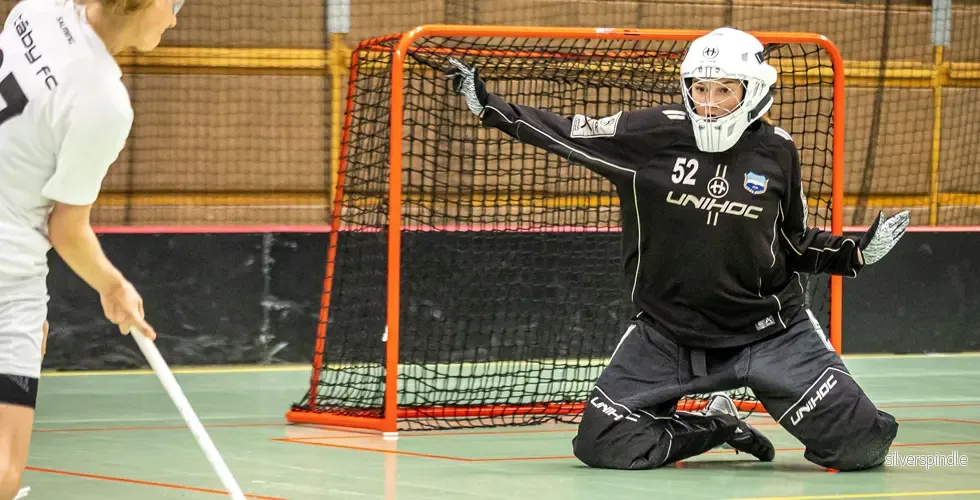 Matchmål innebandy IIF 160x115cm Matchmål innebandy IIF 160x115cm