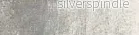 Neocolor® II  498 Silver