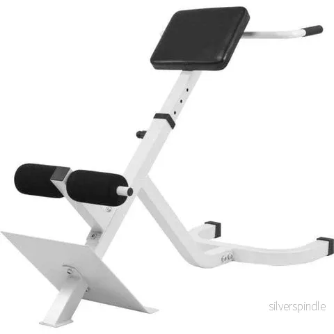 Rygg- och magtränare hyperextensionbänk