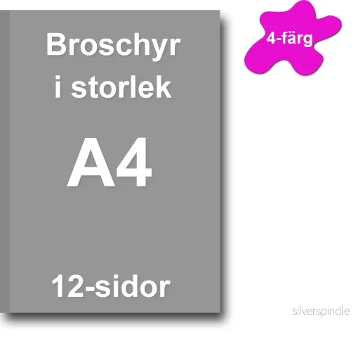 Broschyr 12 sidor - Bild 3